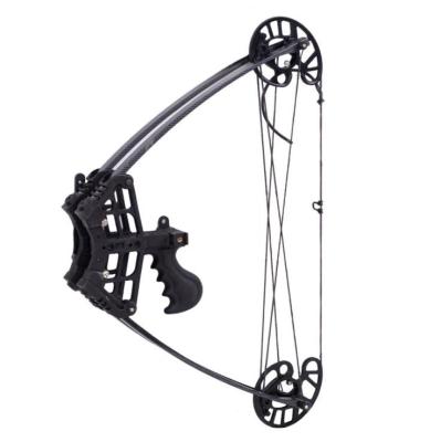 China M109 triangle compound pulley bow and arrow outdoor fish shooting and fishing archery equipment can carry bow and arrow for sale