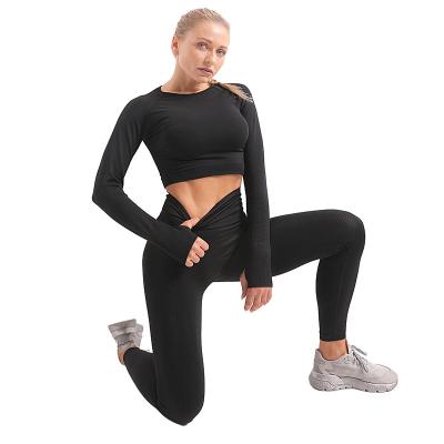 China Wholesale QUICK DRY Seamless Yoga Wear Fitness Workout Women Gym Sets Ladies Activewear Gym Wear Sporty Clothing Yoga Sets for sale