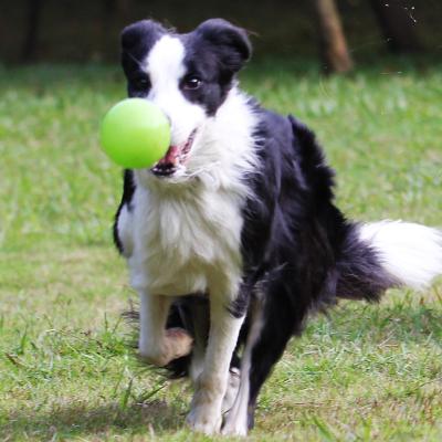 China Sustainable Glow Ball Eco-Friendly Clean Teeth Chew Dog Toy Pet Toy Manufacturer Wholesale Custom Products for sale