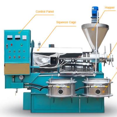 China Factory Stainless Steel Coconut Oil Press Machine Mini Cold Oil Extraction Machine for sale