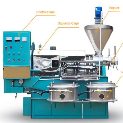 China Factory operate long time cold press oil machine/mango seed oil press/coconut peanut oil press machine for sale