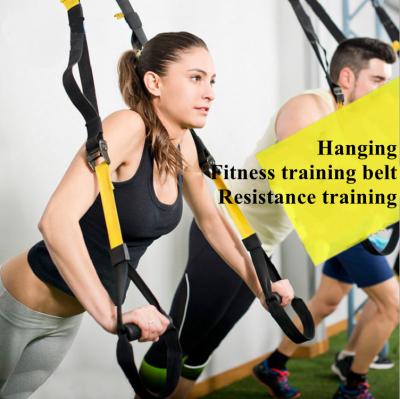 China Safe Fitness Resistance Training Kit Suitable For Indoor Or Outdoor Gyms, Hanging Home Exercising Straps for sale