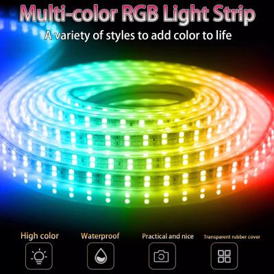 China LED Light Strip Colorful Color Change Living Room Ceiling Home Smart Atmosphere Light Neon Waterproof RGB Light Strip for sale