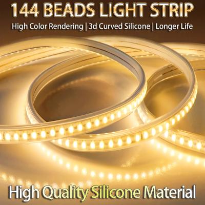 China Wire Drawing Surface 24V LED Light Strip for Special Brightness Outdoor Lighting for sale