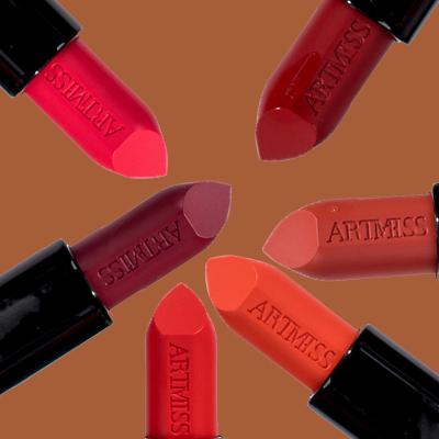 China ARTMISS Waterproof Cosmetics RED Lip Makeup Set Kissproof 14 Hours Long Lasting Velvet Matte Lipstick for sale