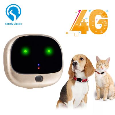 China Cat Dog 4G Small Dog GPS Cat Tracker Collar Tracking Device for sale