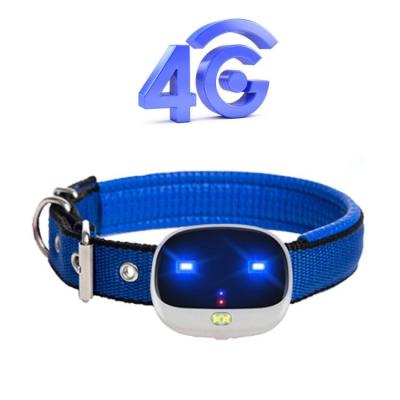 China Pet GPS Collar V43 IP67 Waterproof Cat Dog Collar 4G Pets GPS Tracker for sale