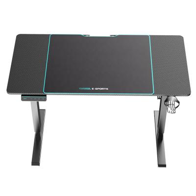 China Other Hot Selling High Quality Motorized Electric Lift Desk Tables Gaming Computer Standing Height Adjustable Desk With OEM LOGO for sale