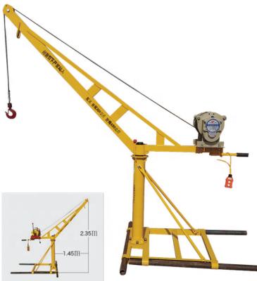 China The other fast and convenient Mini Lifting Crane for building materials for sale