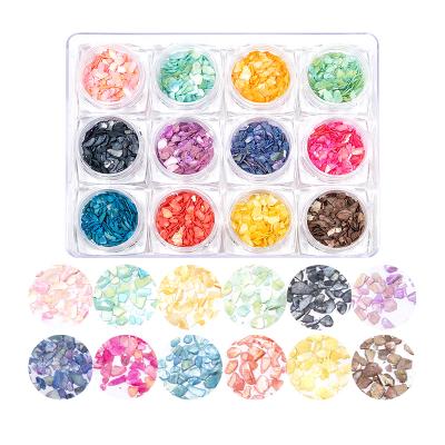 China Fashion Natural Slice Shell MCMANN Female Jewelry Shell Stone Nails Sequins Glitter Sticker For 3D Nail Art Decoration Wholesale for sale