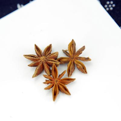 China High Quality Natural Chinese Organic Whole Star Dry Herb Star Anise Anise Seed for sale