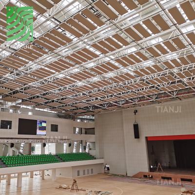 Cina EUROPEAN Tianjie Acoustic Panels Factory Sound Absorption Ceiling Panel Acoustic Partitions For Sport Auditorium in vendita