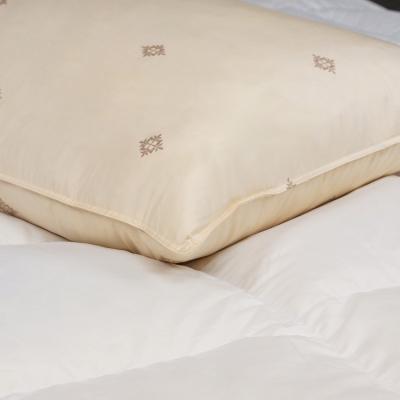 China Hotel Quality Anti-Static King and Standard Size Duck and Goose Down Pillows for sale