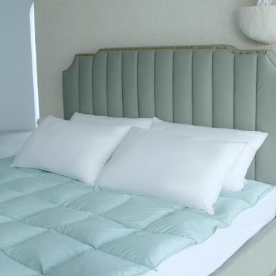 China China Anti Static Manufacturing Cheap Bed Feather Pillow Insert For Sale for sale