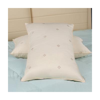 China 2021 Direct Sale Custom Anti-Static Manufacturer Luxury Goose Feather Down Pillow From China for sale