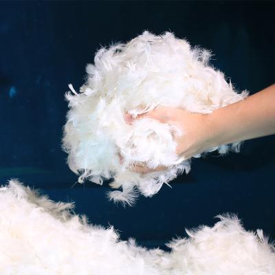 China Soft and comfortable white goose feather material 4-6cm aggregation sofa heat preservation wholesale manufacturer pillow for sale