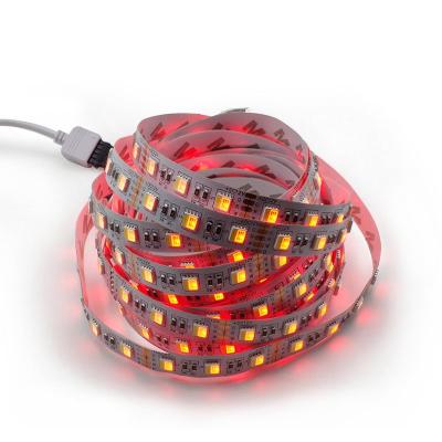 China High Quality Rgb+w Hotel Led Strip Light Smd5050 120leds Dc12/24v Flexible 28.8w/meter Indoor Or Outdoor for sale