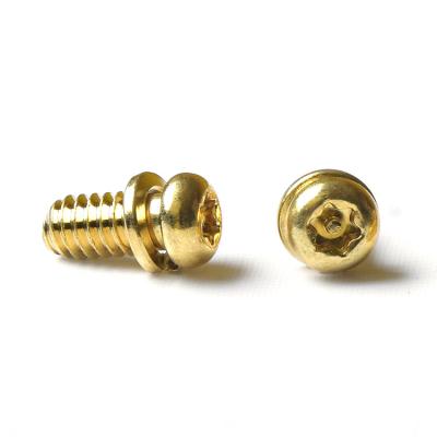 China Pin 6 Copper Custom Cheese Anti Lobe Pin Head Pan Torx Brass Anti Theft Security Sems Screws for sale