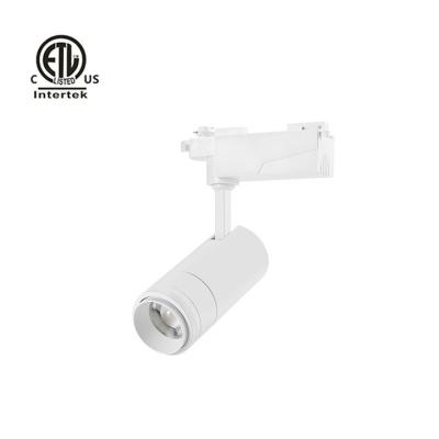 China Modern Architectural Zoomable Daytonled Leica B Zoom Series Gallery Ra90 Ra95 North America ETL List 20W 30W Museum Track Light for sale