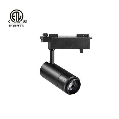 China Daytonled Leica B Series Zoom Museum Gallery Ra90 Ra95 List 20W 30W Modern Architectural Adjustable Led Track Light for sale