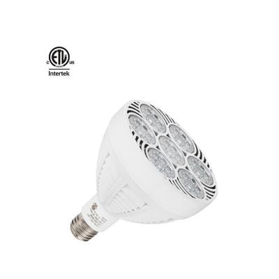 China Modern SZDAYTON Lighting DM G2 Series Cool Spotlights Jewelery Lamp Dimmable Par38 50W E27 White Track Holder Fit 8000K Bulb for sale