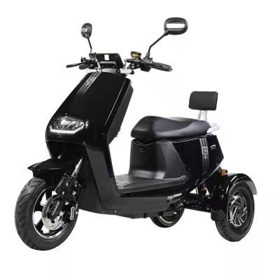 China Double Motor 800W Electric Trike Mobility Scooters Unisex Adult Electric Motorcycle 3 Wheel Scooters for sale