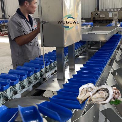 China Famous and Automatic Accessories Weight Grading Sorter for Chicken / Beef / Seafood / Fish and Shrimp for sale