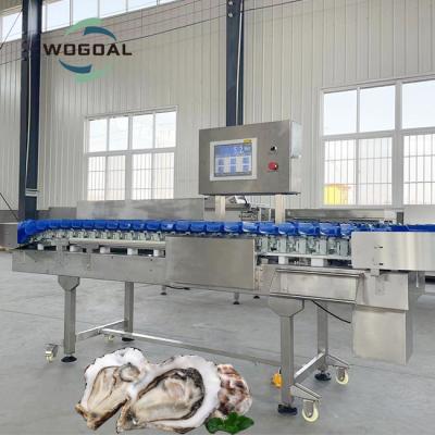 China Famous accessories fish grading machine / prawn grader / prawn sorter for sale