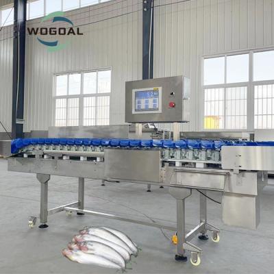 China Famous Accessories 4 Level 5 Alarm Check Weigher Fish Sorting Sorter for sale