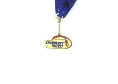 China Custom Soft Enamel Custom Race Medals , 2D Plated Gold Custom Sports Medals for sale