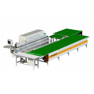 China Conveyor P.R. Return Conveyor Belt for Automatic Edge Edging Machine for sale