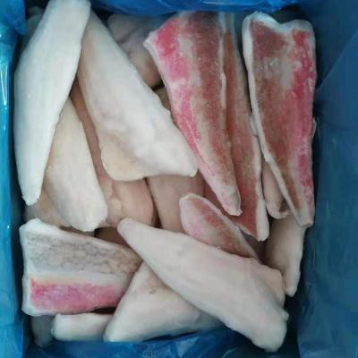 China Wholesale Cheap FROZEN Price IQF Frozen Red Gurnard Fish Fillet For Sale for sale