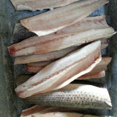 China Wholesale Fresh FROZEN Gray Mullet Fish Fillet Frozen Gray Mullet Fillet for sale