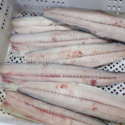 China New Cheap Price FROZEN Hot Selling Treated Frozen Spanish Mackerel Japanese Fillets for sale