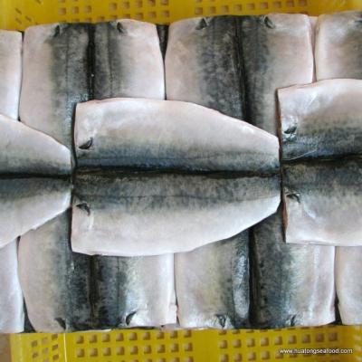 China Cheap Price FROZEN Hot Selling Good Quality Frozen Mackerel Butterfly Blindfolds IQF 5KG 10KG Package for sale