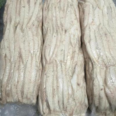 China Hot sale China origin cheap precooked jelly mackerel loin jelly good price good quality for sale