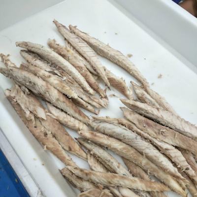 China 2021 Best Quality Fresh FROZEN Pacific Mackerel For Sale Frozen Norwegian Mackerel Mackerel Fish Spines for sale