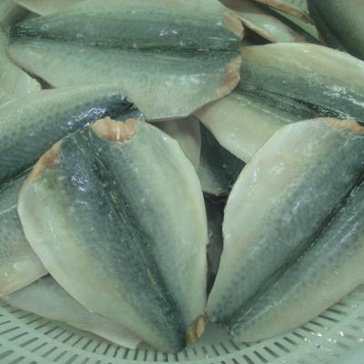 China FROZEN 2021 Wholesale Fresh Atlantic Frozen Mackerel Price Frozen Mackerel Fins for sale