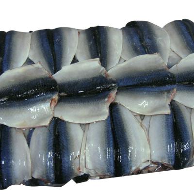 China FROZEN 2021 mackerel frozen fins of the new fish mackerel frozen fish prices wholesale fresh frozen mackerel catching for sale