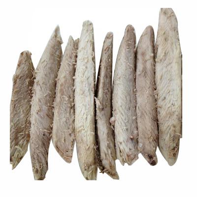 China Hot Sale Cheap Price FROZEN Precooked Tuna Loins Frozen Skipjack and Flakes for sale