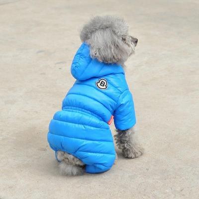 China Stocked Luxury Brand Designer Cat Clothes Wholesale Dropshipping Pet Fashion Jacket Dog Apparel Warm Coat Windproof High Quality Stockings for sale