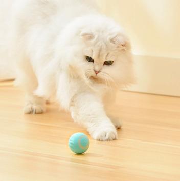 China Amazon Viable Hot Selling Cats Balls Smart Gravity Ball For Wholesale Pet Funny Pet Toys Products for sale