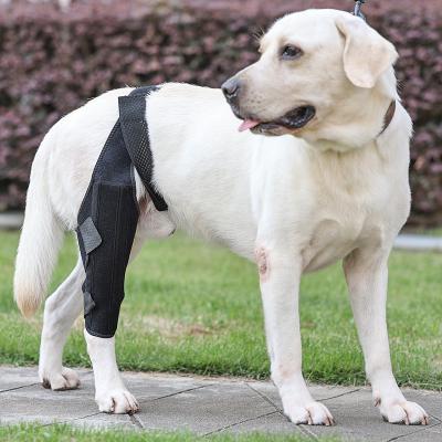 China Sustainable Pet Supplies Training Leg Recovery Strap Dog Leg Recovery Strap for sale