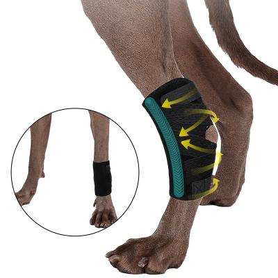 China Sustainable Pet Training Supplies Dog Joint Leg Recovery Strap for sale