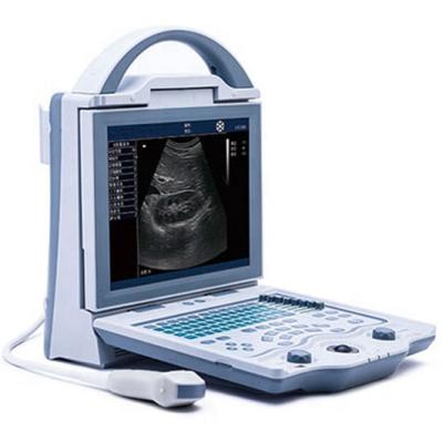 China Veterinary Ultrasound Full Veterinary Ultrasound Supply Digital Ultrasonic Diagnostic Instruments For Pet Use Over 6 Working Hours. for sale