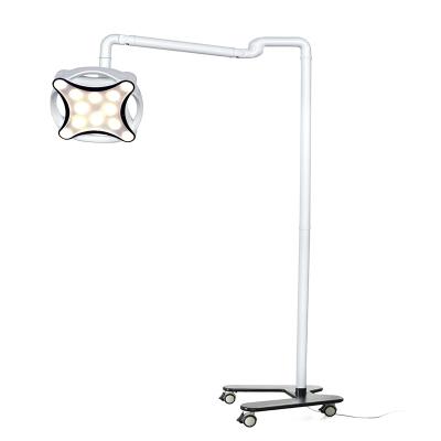 China Shadowless Operating Room Lamp Operation Lamp Supply Animal Clinic Veterinary Ward Supply Operating Room Equipment 160-220mm for sale