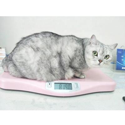 China Electronic Scale New 10Kg 20Kg Pet Weighing Electronic Pet Weight Scale For Cats Dogs for sale