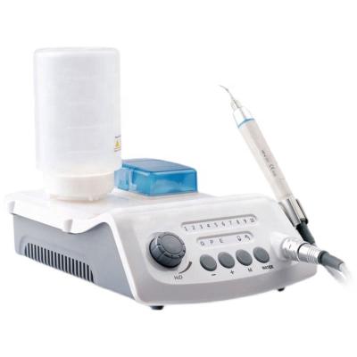 China Veterinary dental clinic veterinary scaler / LED ultrasonic dental scaler for pet hospital for sale