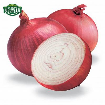 China Fresh Onion Price Ton Of Red Onion Importers Fresh Vegetables For Buyers for sale