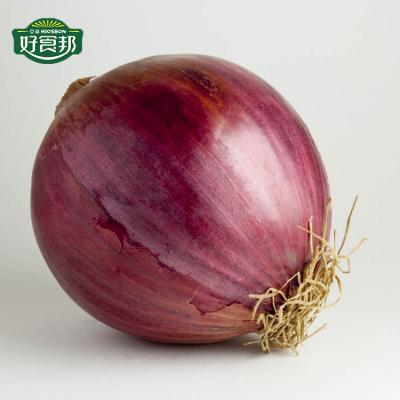 China Small fresh onion food fresh produce market healthy fresh red onion onion prices for sale